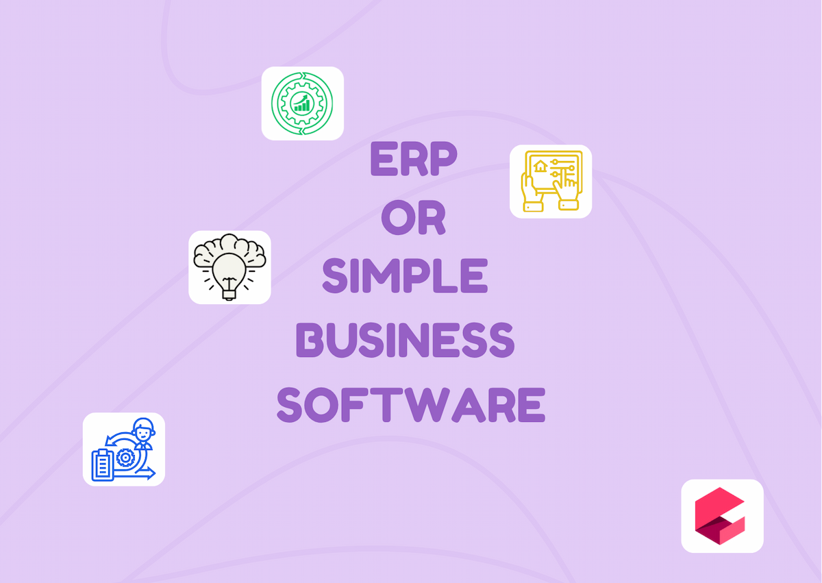 ERP or Simple Business Software: Which One is Right for Your Company?