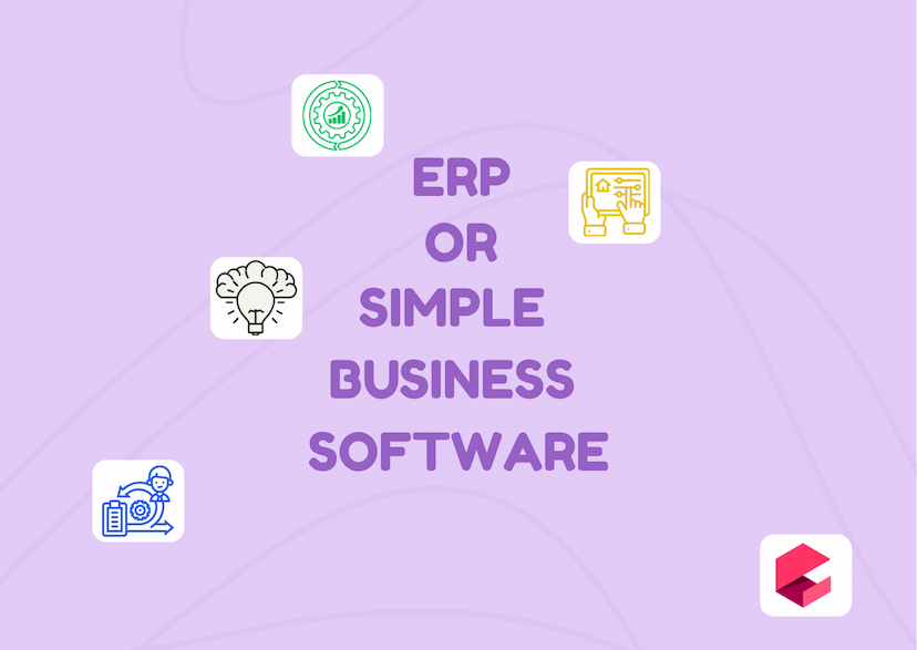 ERP or Simple Business Software: Which One is Right for Your Company?